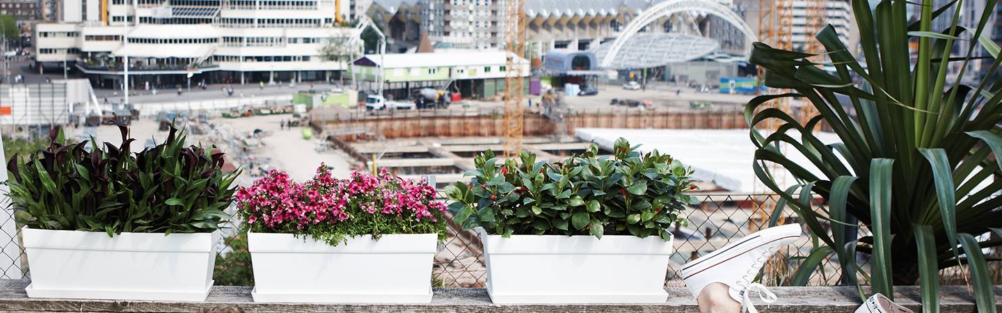 loft urban trough 50cm white